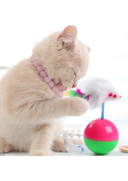 3'lü Temizlik ve Oyun Seti: Rulo, Tüy Eldiveni ve Kedi Oyuncağı