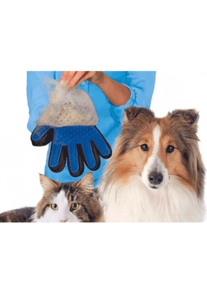 Köpek Tüy Toplama Eldiveni ve Taraklı Temizleme Seti