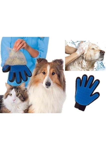 Köpek Tüy Toplama Eldiveni ve Taraklı Temizleme Seti
