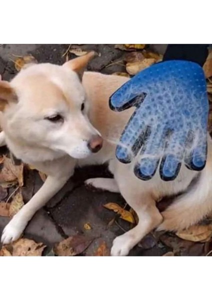 Kedi ve Köpekler Için Sağ El Tüy Toplama Eldiveni, Pratik ve Kullanışlı Tasarım