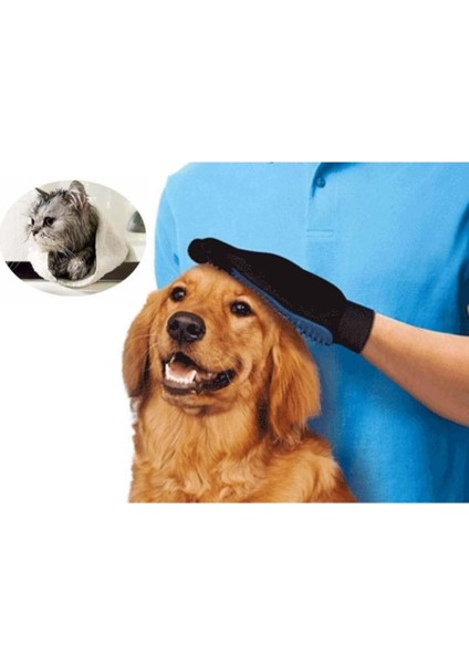 Tüy Toplama Eldiveni ve Taraklı Köpek Temizleme Seti