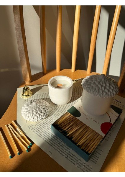 Beyaz Palamut Dekoratif Kutu, Şık ve Zarif Ev Aksesuarı, Güzel Hediye Seçeneği