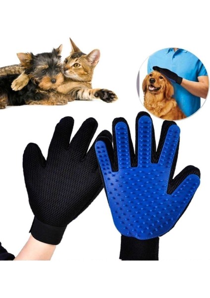 Mavi Renkli Evcil Hayvan Tüy Toplama Eldiveni, Pratik ve Etkili Temizlik Aracı fiyatları