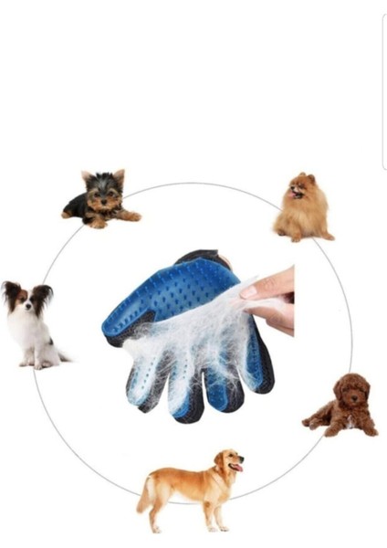 Kedi ve Köpek Tüylerini Kolayca Toplayan Temizlik ve Masaj Eldiveni