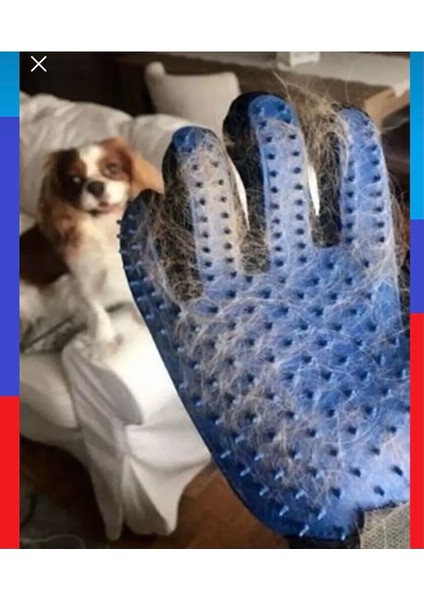 Mavi Lastikli Kedi Tüy Toplama Eldiveni, Pratik ve Kullanışlı Ev Temizliği Aracı fiyatları