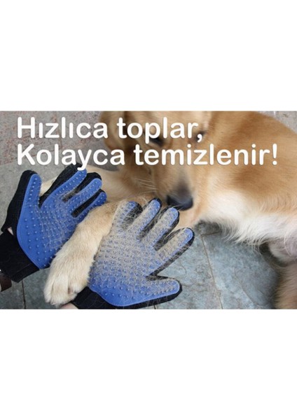 Yumuşak Tüy Toplama Eldiveni, Hayvan Temizliği ve Bakımı Için Uygun