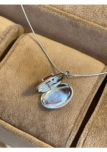 316 L Cerrahi Çelik Kırmızı Zirkon Parlak Taşlı Çelik Madalyon Kolye fiyatları