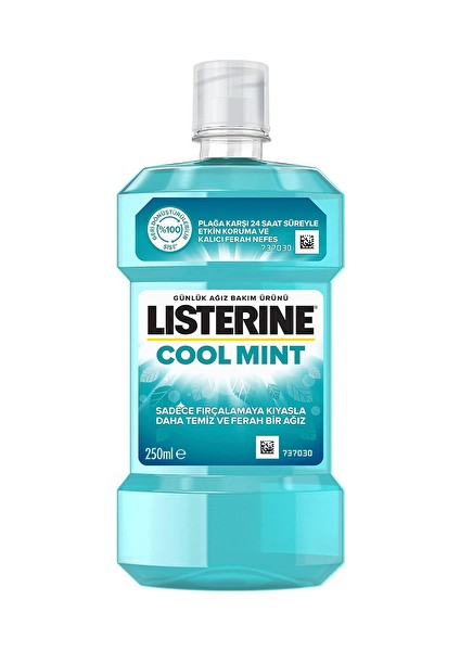 Ağız Suyu Cool Mint 250 ml