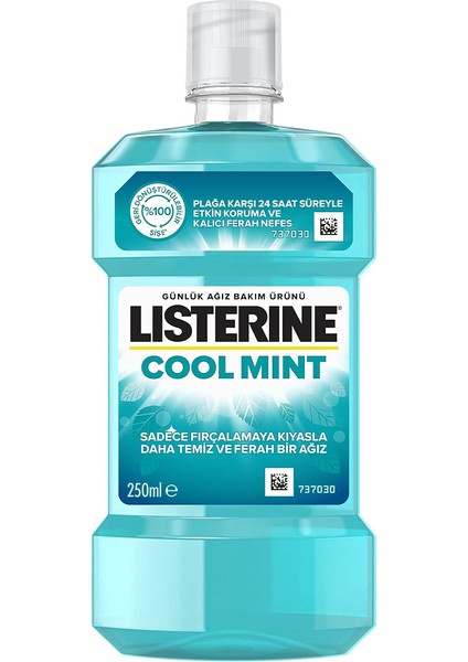 Ağız Suyu Cool Mint 250 ml fiyatları