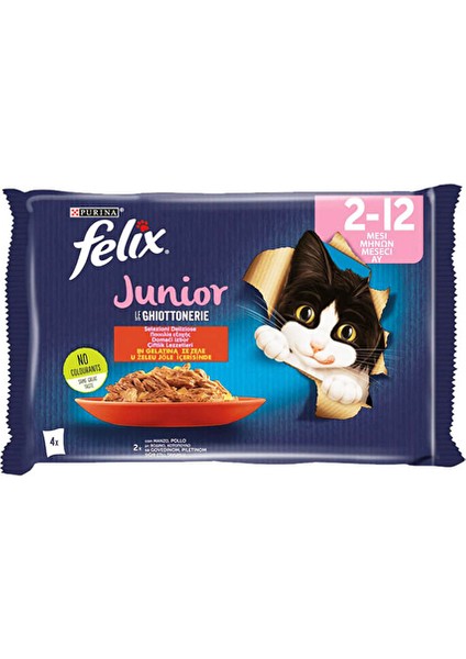 Pouch Yavru Kedi 4X85G