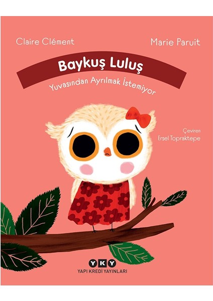 Baykuş Luluş Yuvasından Ayrılmak Istemiyor