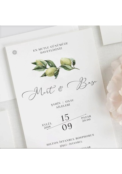 Barış Zarfsız Isimlikli Düğün Davetiyesi