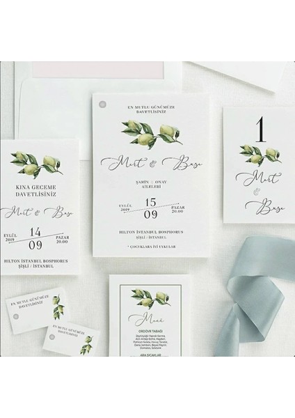 Barış Zarfsız Isimlikli Düğün Davetiyesi fiyatları