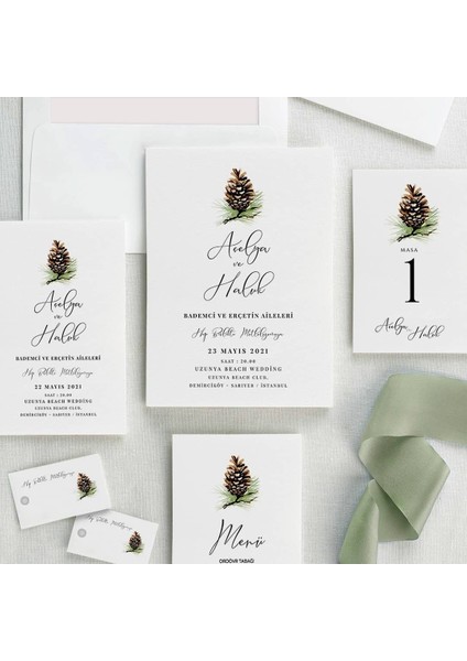 Soft Şeffaf Zarflı Düğün Davetiyesi modelleri