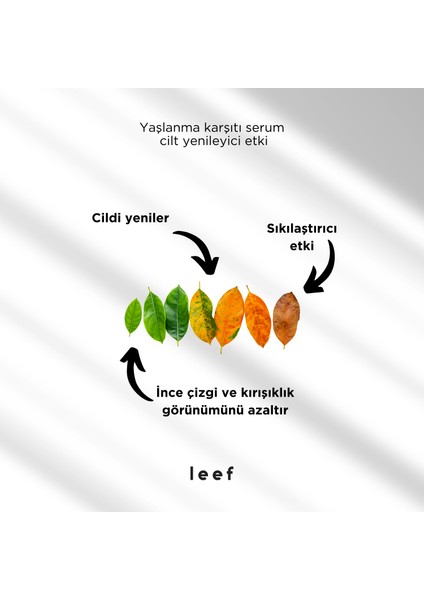 Retinol Peptide Serumu – %1 Retinol, Peptit & Centella, Cilt Sıkılığına Destek