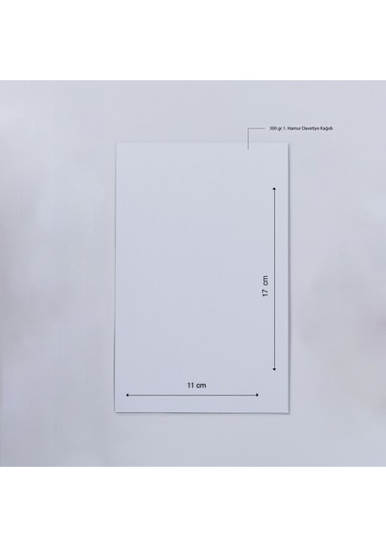 Lavinya Zarfsız Düğün Davetiyesi modelleri