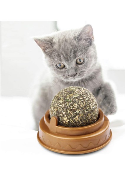 Kedi Nanesi Oyun Topu