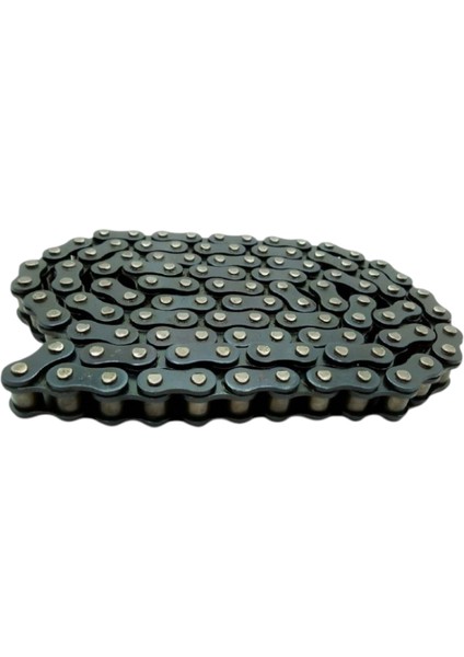 Sfr Zincir 415HX102L