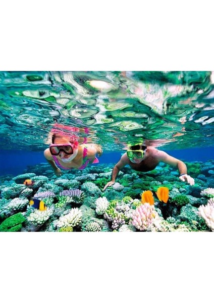 Gençler Için Renkli Gözlük ve Maske Şnorkel Seti, Eğlenceli Deniz Keyfi modelleri