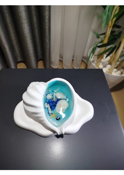 : Okyanus Temalı Istiridye Jel Mum,sukulend Çiçek Saksısı ve Takı Konteynırı fiyatları