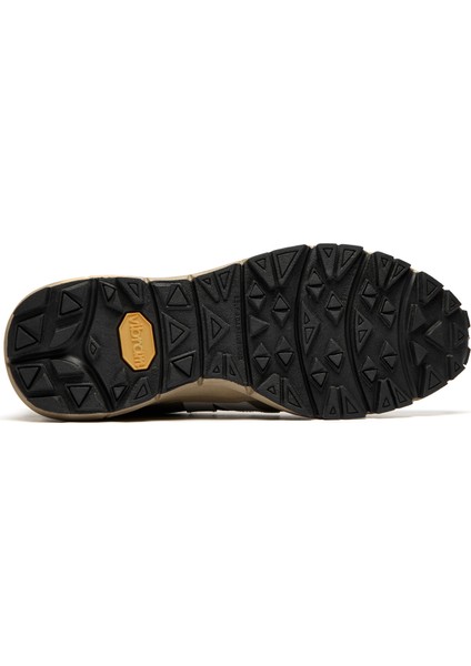 Dekkan Alveomesh Siyah Mor Kadın Sneaker