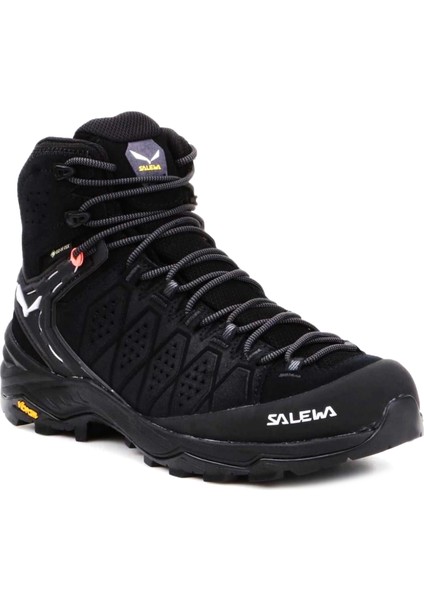 Ws Alp Trainer 2 Mid Gtx Kadın Ayakkabı