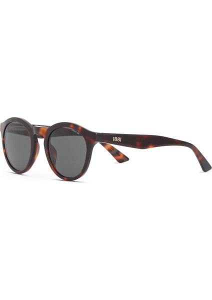 Cr 80071 C2 Havana Asetat Unisex Güneş Gözlüğü