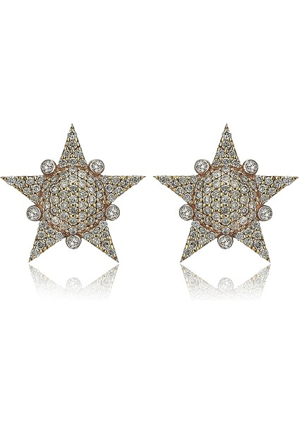 Lumiére Star 14 Ayar Altın Kadın Pırlanta Küpe