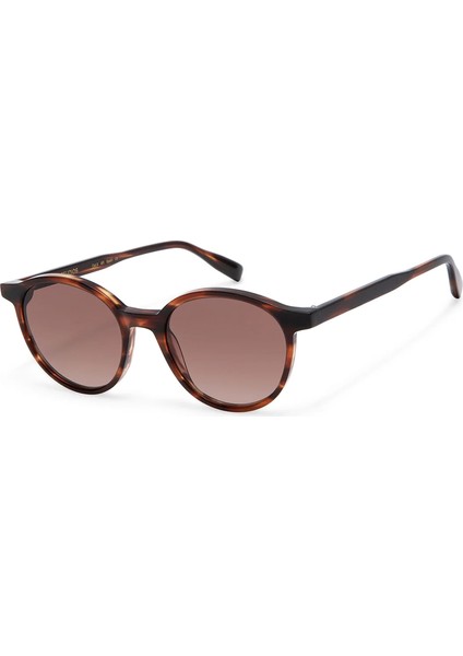 Ohara 6915 2 Asetat Havana Unisex Güneş Gözlüğü