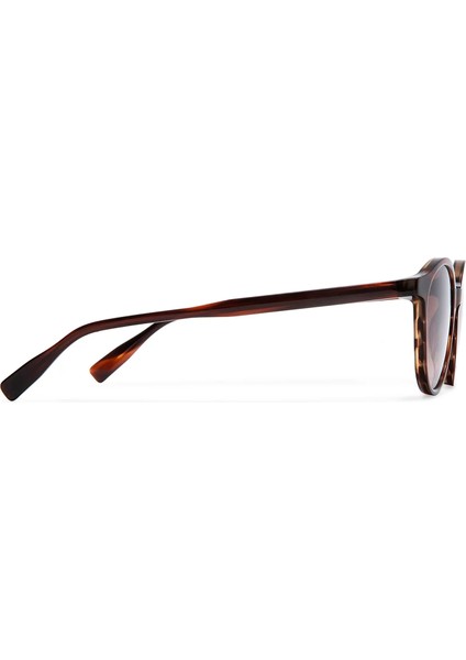 Ohara 6915 2 Asetat Havana Unisex Güneş Gözlüğü modelleri