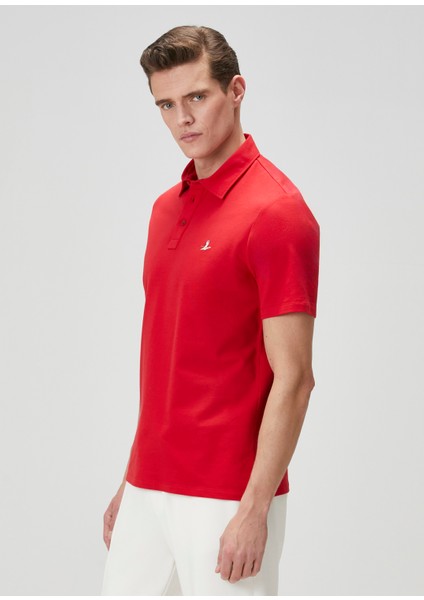 Comfort Fit Kırmızı Polo Yaka T-Shirt fırsatları