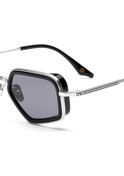 Hillgate Gümüş Titanyum Kadın Güneş Gözlüğü modelleri