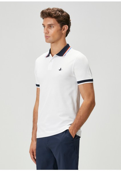Beyaz Polo T-Shirt fırsatları
