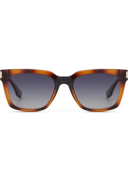 Ds 2373 C4 Kare Havana Altın Rengi Asetat Metal Unisex Güneş Gözlüğü