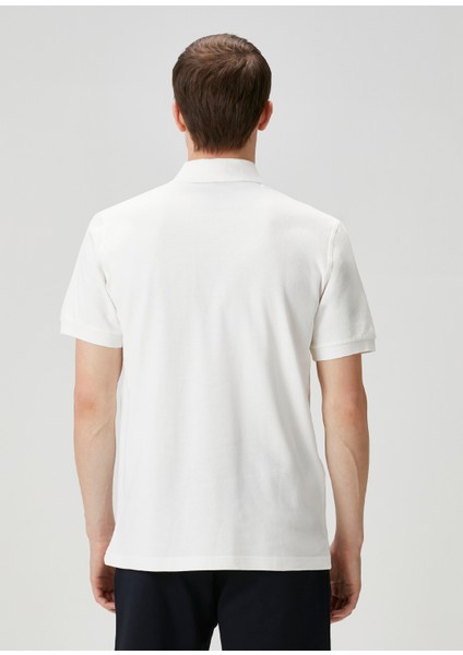 Beyaz Polo Yaka T-Shirt fırsatları