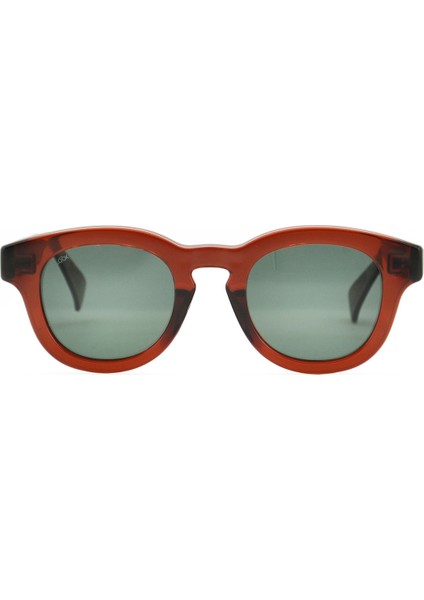 Pinus Jelly Brown Unisex Güneş Gözlüğü fiyatları