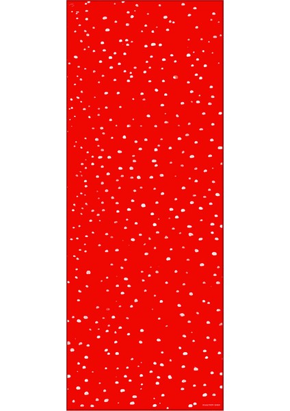 Kırmızı Ipek Eşarp 170X65 cm