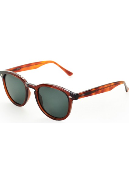 Langdon Bold Jelly Brown Asetat Unisex Güneş Gözlüğü fiyatları