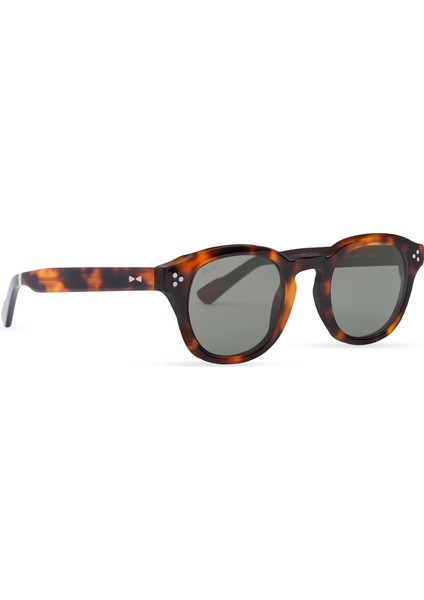 SNA1004 10TH Anniversary Havana Asetat Unisex Güneş Gözlüğü fiyatları