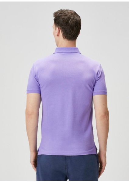 Lila Polo Yaka T-Shirt fırsatları