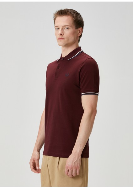 Regular Fit Bordo Polo Yaka T-Shirt fırsatları