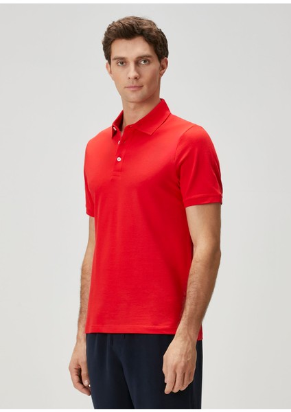 Kırmızı Polo Yaka Basic T-Shirt fırsatları