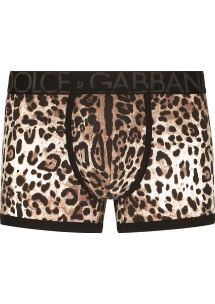 Leopar Boxer