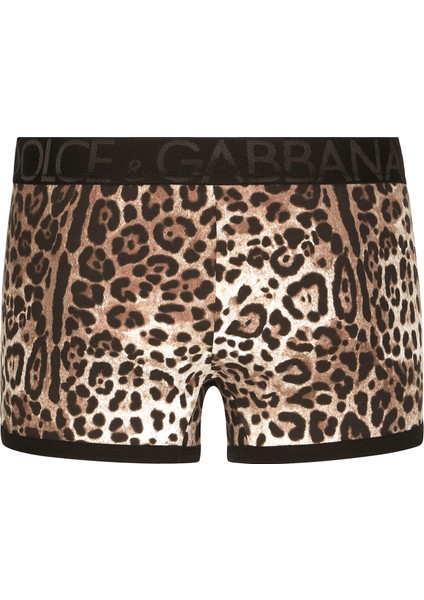 Leopar Boxer