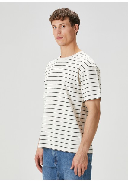 Bej Çizgi Desenli Organik Pamuk T-Shirt modelleri