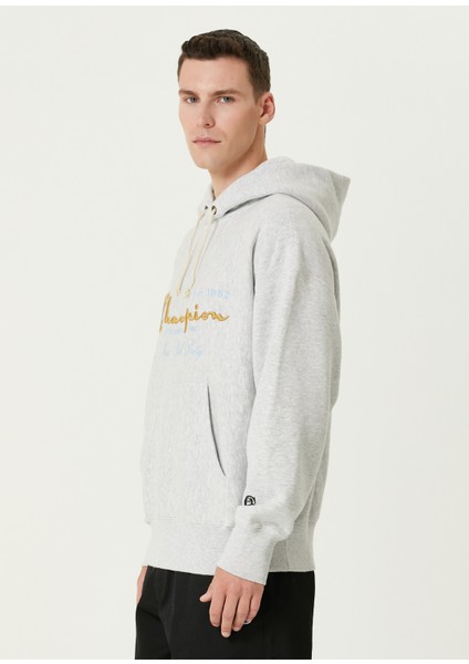 Gri Kapüşonlu Logo Nakışlı Sweatshirt modelleri