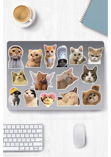 Kedi Temalı Sticker Telefon Laptop Notebook Tablet Defter Matara Stiker Etiket