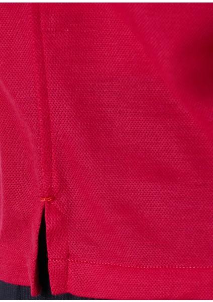 Pembe Polo Yaka Yün T-Shirt