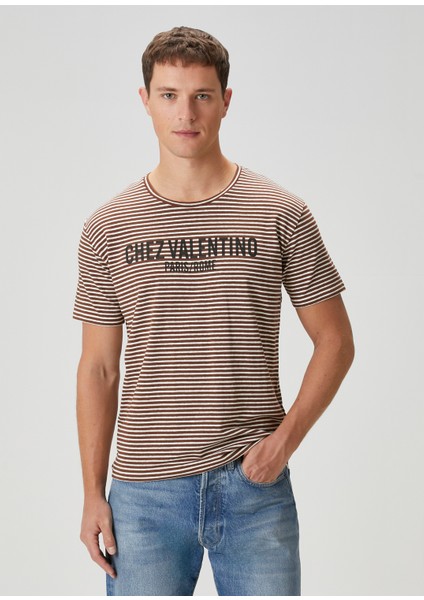 Bej Kahverengi Çizgi Desenli T-Shirt