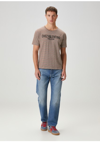 Bej Kahverengi Çizgi Desenli T-Shirt fiyatları
